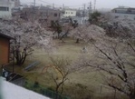 070402.jpg