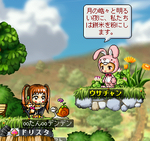 MapleStory 2009-01-31 11-40-06-56.bmp