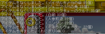 MapleStory 2009-02-06 23-52-25-61.bmp