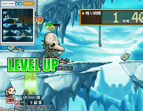 MapleStory 2010-07-04 14-17-40-60.png