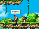 MapleStory 2007-06-09 00-04-32-17.bmp