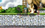 MapleStory 2008-10-25 09-55-01-59.bmp