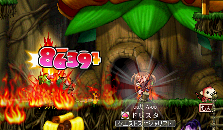 MapleStory 2009-03-20 22-29-14-26.bmp