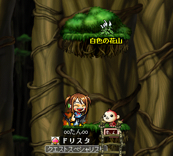 MapleStory 2009-03-20 23-21-47-64.bmp