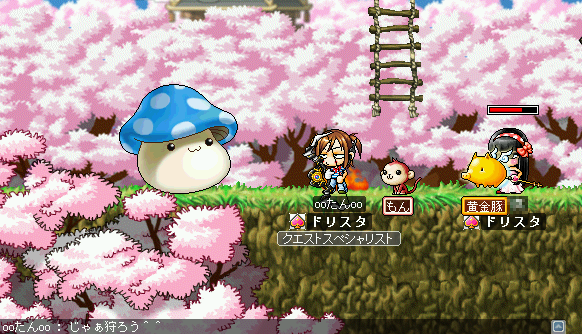 MapleStory 2009-05-29 22-23-17-60.bmp
