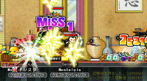 MapleStory 2009-06-28 21-38-02-36.png