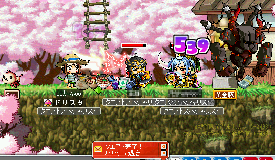 MapleStory 2009-06-28 23-43-11-36.png