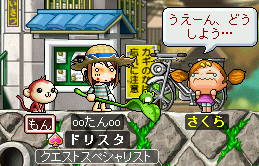MapleStory 2009-07-03 21-30-11-87.png