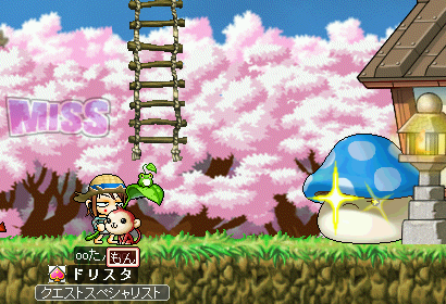 MapleStory 2009-07-04 20-53-39-06.png