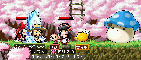 MapleStory 2009-07-12 21-45-25-43.png