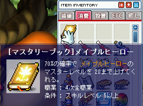 MapleStory 2009-07-19 14-28-16-39.png