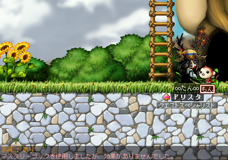 MapleStory 2009-07-19 14-28-23-56.png