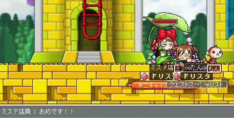 MapleStory 2009-07-25 01-05-32-13.png