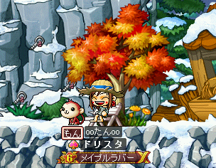 MapleStory 2009-08-28 21-56-03-34.png