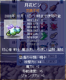 MapleStory 2009-10-02 21-40-58-07.png