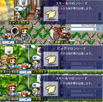 MapleStoryT 2007-08-26 12-43-18-29.bmp